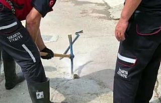 Beton çatlağına sıkışan kirpi, itfaiye ekiplerince...