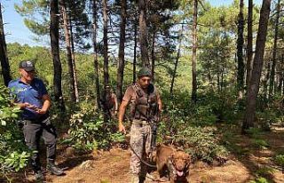 Beykoz’da ormanlık alanlarda denetim