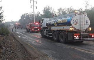 Beypazarı Belediyesinden Muğla’daki yangın bölgesine...