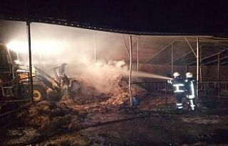 Biga’da 3 bin adet saman balyası yanarak kül oldu