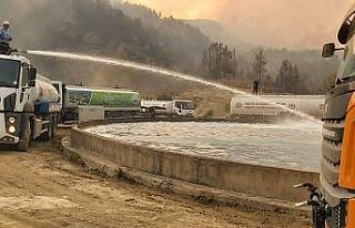 Bilecik itfaiyesi yangın bölgesinde mücadeleye...