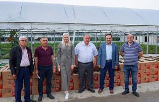 Bilecik’te 118 bin 750 adet sebze fidesini çiftçilere...