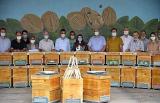 Bilecik’te 80 üreticiye bin 250 arı kovanı dağıtıldı