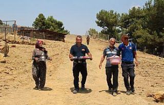 Bin 200 rakımlı yangın bölgesinde, Ayşegül teyzeden...