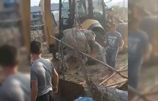 Bingöl’de kuyuya düşen eşek itfaiye ekiplerince...