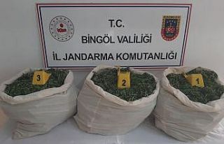 Bingöl’de terörün finans kaynağına darbe