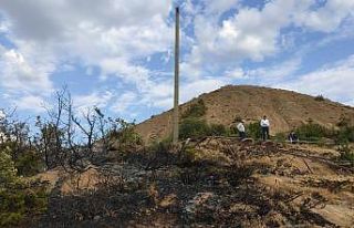 Bingöl’deki orman yangını söndürüldü