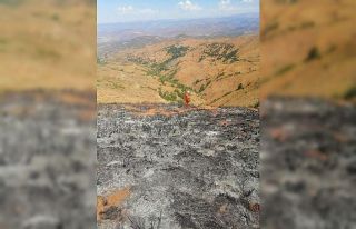 Bingöl’deki yangın ormanlık alana sıçramadan...
