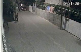 Biri gözcülük yaptı, diğeri elektrikli bisikleti...