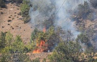 Bitlis’teki orman yangını rüzgarın etkisiyle...