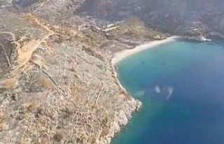 Bodrum Belediye Başkanı Aras, ekibiyle yangın mahallinde...