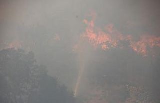 Bodrum yeniden alevlere teslim oldu