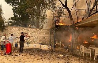 Bodrum’da korkulan oldu, alevler evlere sıçradı
