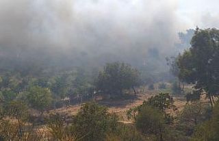 Bodrum’da makilik yangını