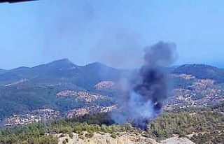 Bodrum’daki yangın büyümeden kontrol altına...