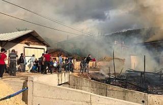 Bolu’da 2 ev, 3 samanlık alev alev yandı