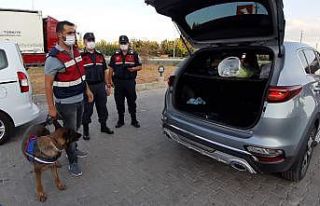 Bolvadin’de jandarmadan asayiş ve trafik denetimi