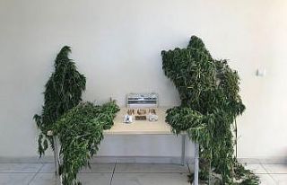 Bor’da uyuşturucu operasyonu: 5 gözaltı