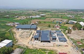 Böylesi ancak büyük şehirlerde olur