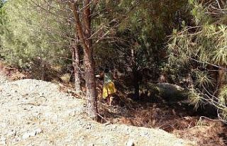 Bozcaada’da kaybolan Alzheimer hastası kadın 6...