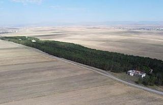 Bozkırın ortasındaki ‘vaha’ havadan görüntülendi