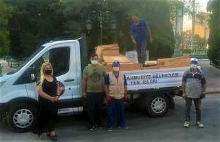 Bozuk para kasaları sokak hayvanlarına yuva oluyor