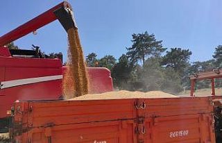 Bozüyük’te biçerdöverler denetlendi