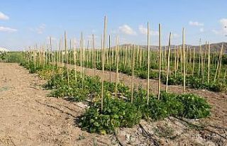 Bu da bilim tarlası, çiftçinin yüzünü güldürecek