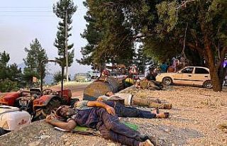 Bu fotoğraf çok şey anlatıyor