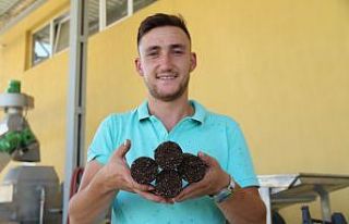 Bu kömür yandıktan sonra ne kül ne de toz bırakıyor