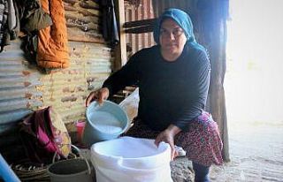 Bu sütün fiyatı normalinin 3 katı