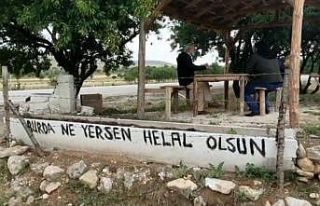 Buda sebil meyve bahçesi