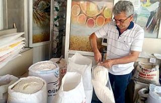 Buğday üretiminde kuraklıktan rekolte düştü,...