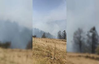Buharkent ve Kuyucak’ta faciadan dönüldü