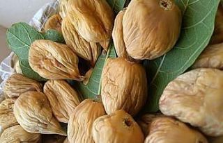 Buharkent Ziraat Odası Başkanı Özdamar’dan uyarı;...