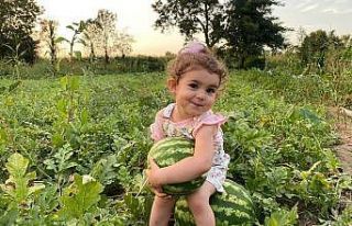 Bunaltıcı sıcaklar vatandaşı sulu meyvelere yönlendirdi