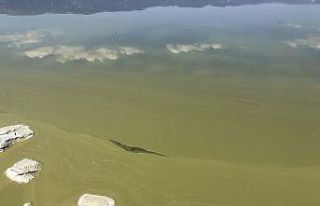 Burdur Gölü’nde alg patlaması