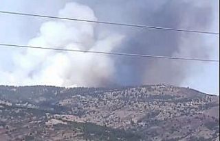 Burdur’un Tefenni ilçesinde orman yangını