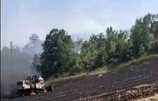 Bursa’da anız yakan çitçiye ceza