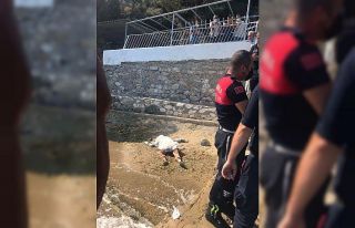 Bursa’da denizden yaşlı kadın cesedi çıktı
