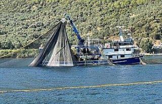 Bursa’da denize deneme ağları atıldı