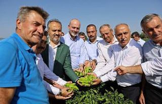 Büyükşehir destekliyor, çiftçi kazanıyor