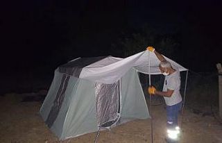 Büyükşehir yangın bölgesinde yaraları sarıyor