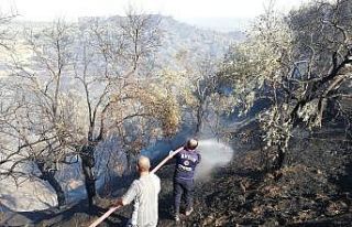 Büyükşehir’den Germencik’teki yangına hızlı...