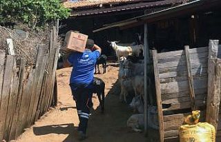 Büyükşehir’den yangın mağdurlarına destek