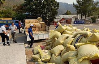 Büyükşehirden yangın mağduru üreticilere 368...