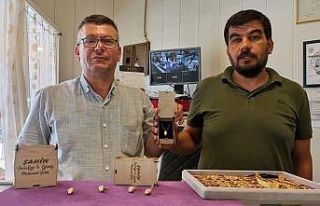 Çam fıstığı kozalağını altın kolyeye dönüştürdüler