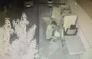 Çamaşır telinde asılı olan tişörtleri tek tek...