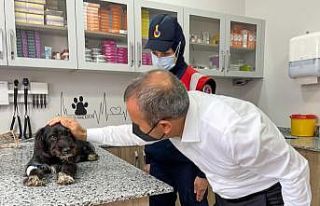 Can Dost’a Vali sahip çıktı