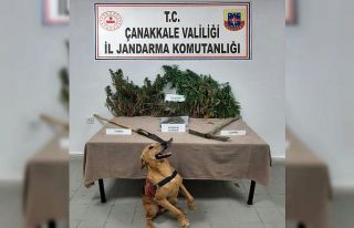 Çanakkale’de uyuşturucu operasyonu